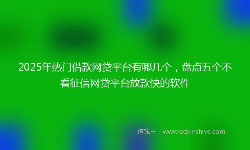 2025年热门借款网贷平台有哪几个，盘点五个不看征信网贷平台放款快的软件