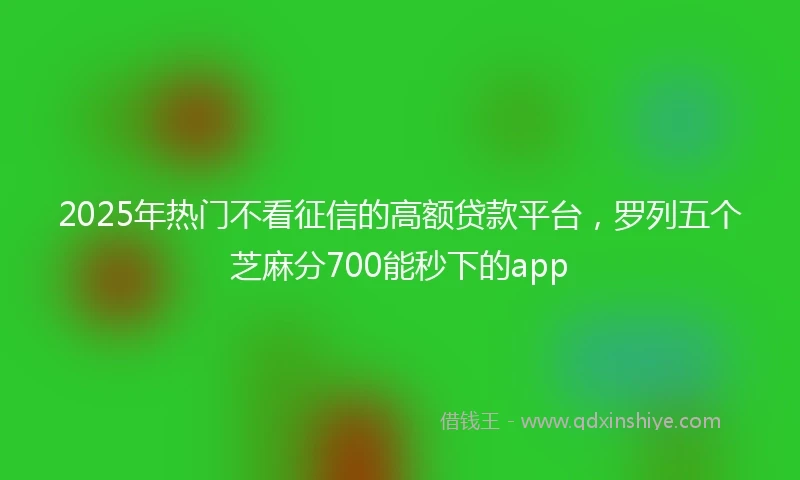 2025年热门不看征信的高额贷款平台，罗列五个芝麻分700能秒下的app