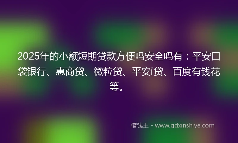2025年的小额短期贷款方便吗安全吗有：平安口袋银行、惠商贷、微粒贷、平安i贷、百度有钱花等。