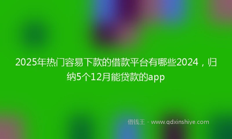 2025年热门容易下款的借款平台有哪些2024，归纳5个12月能贷款的app
