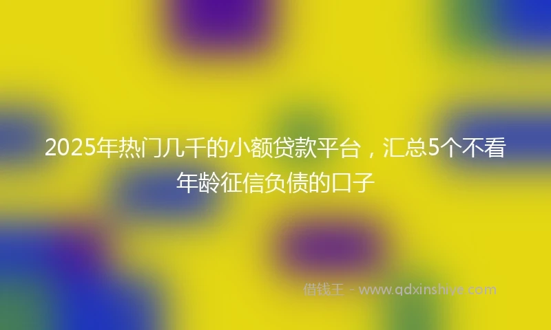 2025年热门几千的小额贷款平台，汇总5个不看年龄征信负债的口子