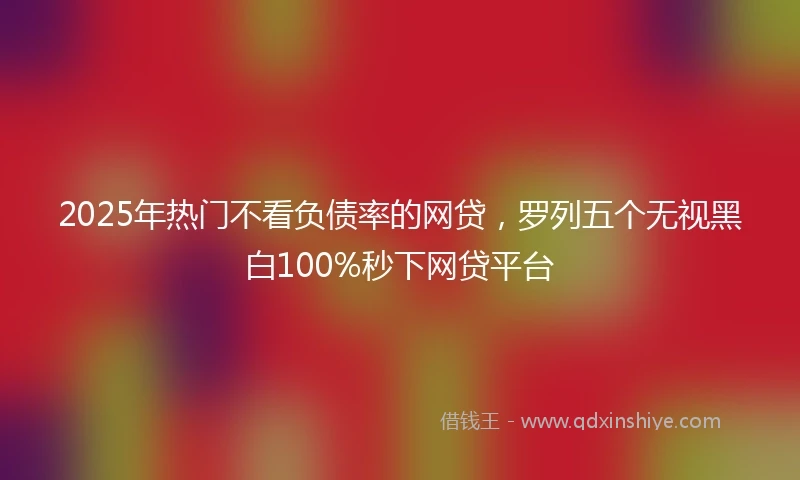 2025年热门不看负债率的网贷，罗列五个无视黑白100%秒下网贷平台