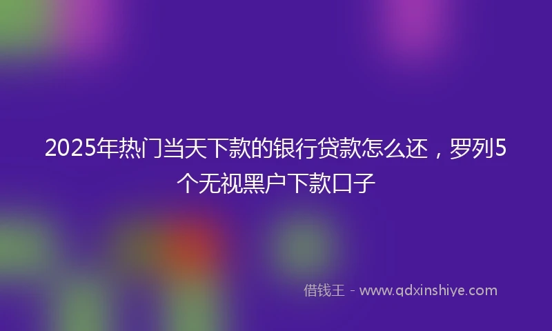 2025年热门当天下款的银行贷款怎么还，罗列5个无视黑户下款口子