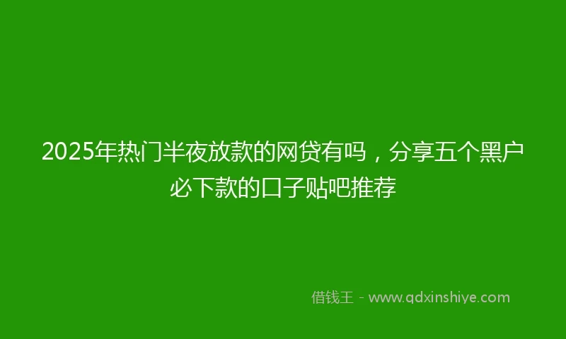 2025年热门半夜放款的网贷有吗，分享五个黑户必下款的口子贴吧推荐