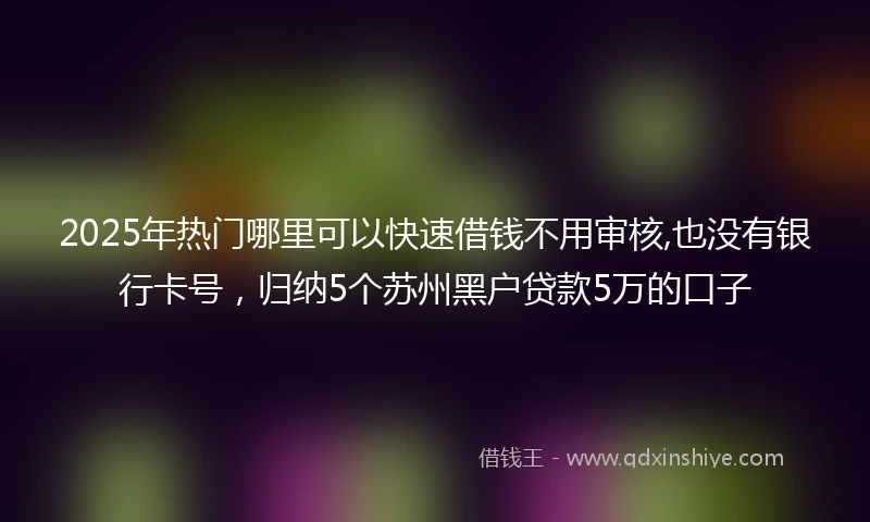 2025年热门哪里可以快速借钱不用审核,也没有银行卡号,归纳5个苏州黑户贷款5万的口子