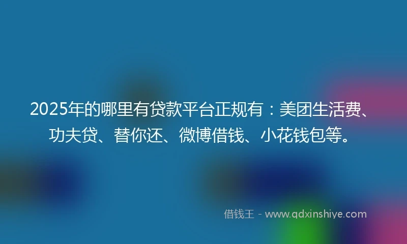 2025年的哪里有贷款平台正规有：美团生活费、功夫贷、替你还、微博借钱、小花钱包等。