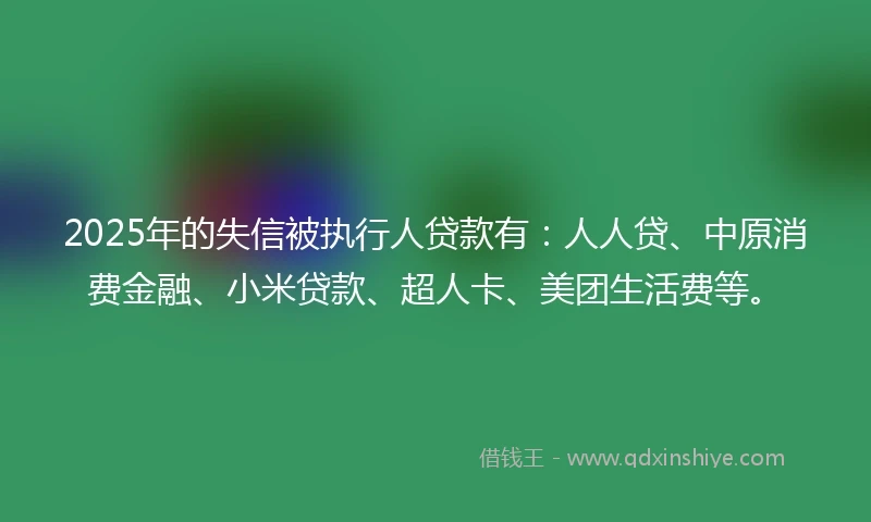 2025年的失信被执行人贷款有：人人贷、中原消费金融、小米贷款、超人卡、美团生活费等。