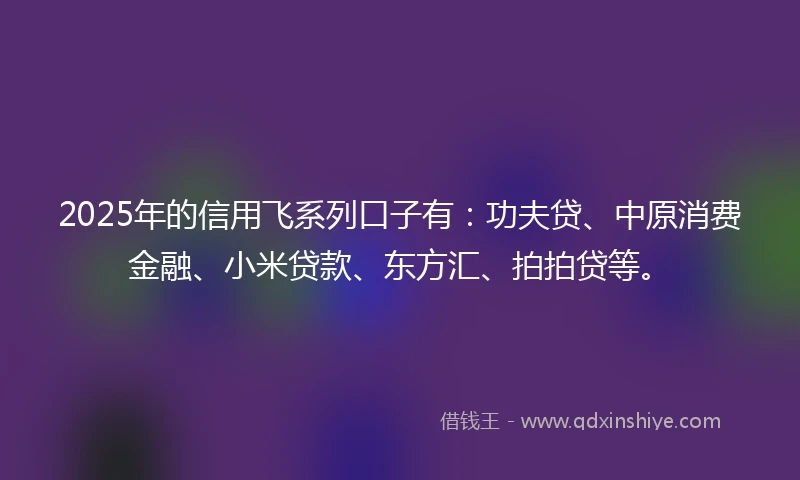 2025年的信用飞系列口子有：功夫贷、中原消费金融、小米贷款、东方汇、拍拍贷等。