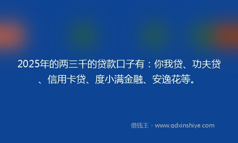 2025年的两三千的贷款口子有：你我贷、功夫贷、信用卡贷、度小满金融、安逸花等。