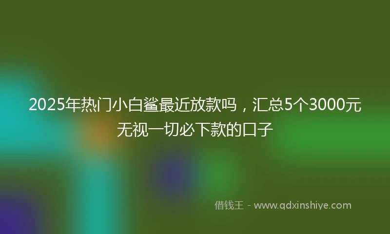 2025年热门小白鲨最近放款吗，汇总5个3000元无视一切必下款的口子