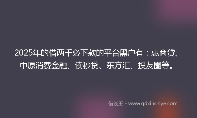 2025年的借两千必下款的平台黑户有：惠商贷、中原消费金融、读秒贷、东方汇、投友圈等。