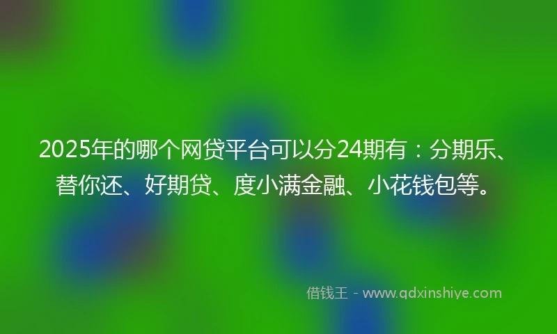 2025年的哪个网贷平台可以分24期有：分期乐、替你还、好期贷、度小满金融、小花钱包等。
