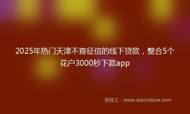 2025年热门天津不查征信的线下贷款，整合5个花户3000秒下款app