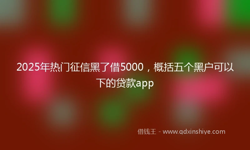 2025年热门征信黑了借5000，概括五个黑户可以下的贷款app