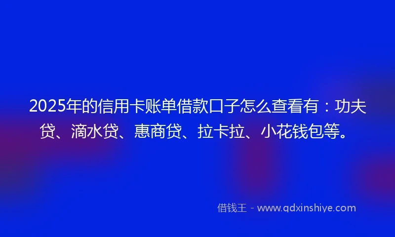 2025年的信用卡账单借款口子怎么查看有：功夫贷、滴水贷、惠商贷、拉卡拉、小花钱包等。