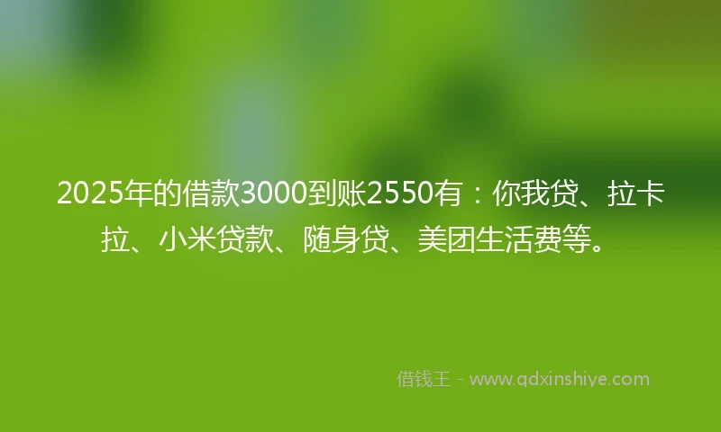 2025年的借款3000到账2550有：你我贷、拉卡拉、小米贷款、随身贷、美团生活费等。