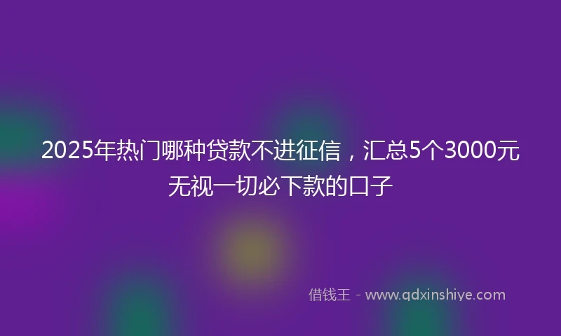 2025年热门哪种贷款不进征信，汇总5个3000元无视一切必下款的口子