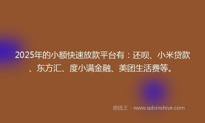2025年的小额快速放款平台有：还呗、小米贷款、东方汇、度小满金融、美团生活费等。