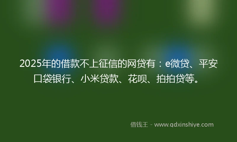 2025年的借款不上征信的网贷有：e微贷、平安口袋银行、小米贷款、花呗、拍拍贷等。