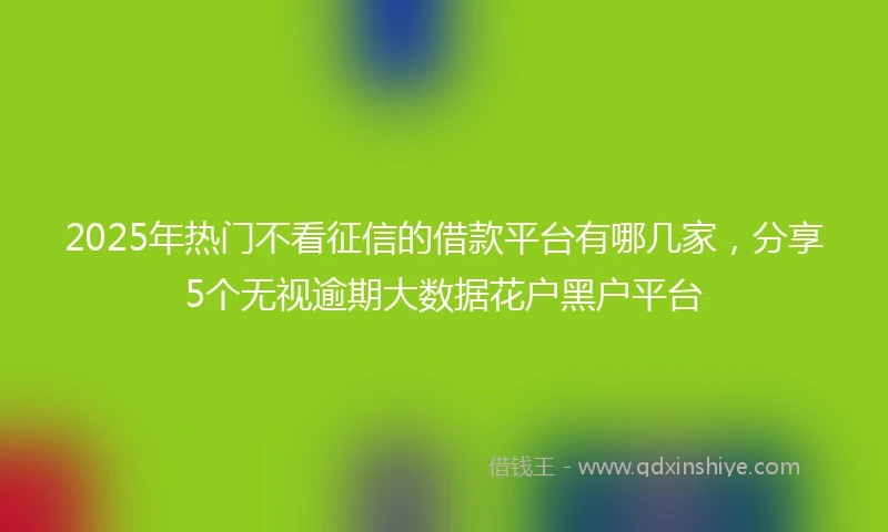 2025年热门不看征信的借款平台有哪几家，分享5个无视逾期大数据花户黑户平台
