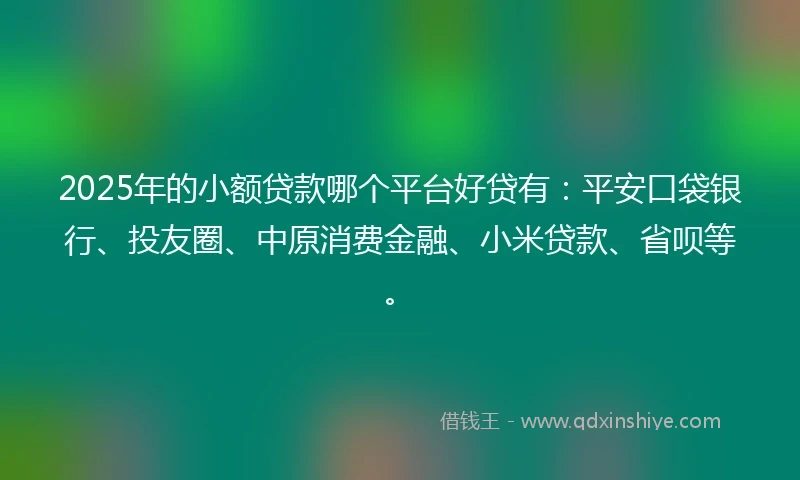 2025年的小额贷款哪个平台好贷有：平安口袋银行、投友圈、中原消费金融、小米贷款、省呗等。