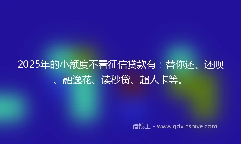 2025年的小额度不看征信贷款有：替你还、还呗、融逸花、读秒贷、超人卡等。