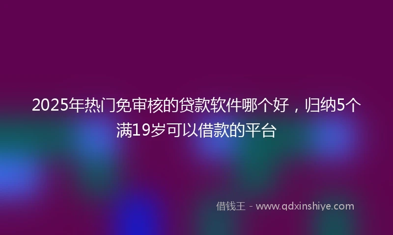 2025年热门免审核的贷款软件哪个好，归纳5个满19岁可以借款的平台