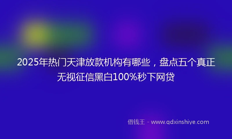2025年热门天津放款机构有哪些，盘点五个真正无视征信黑白100%秒下网贷