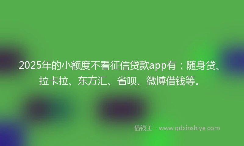 2025年的小额度不看征信贷款app有：随身贷、拉卡拉、东方汇、省呗、微博借钱等。