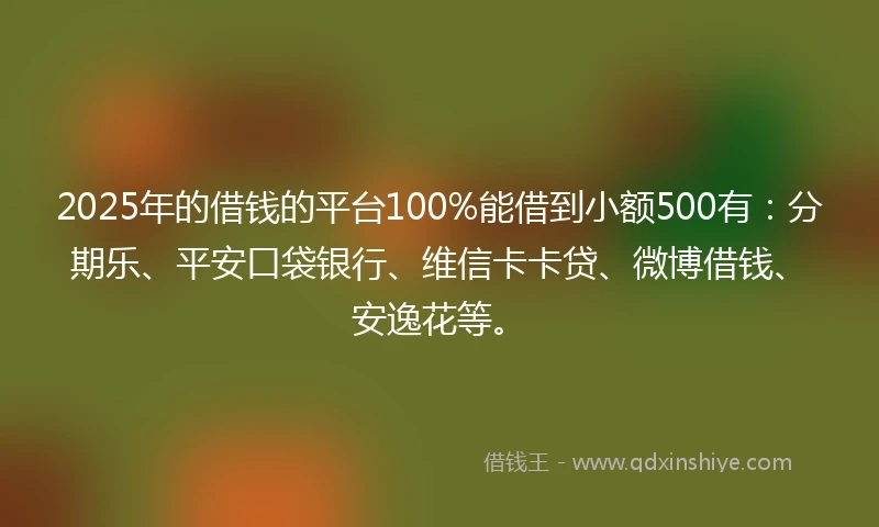 2025年的借钱的平台100%能借到小额500有：分期乐、平安口袋银行、维信卡卡贷、微博借钱、安逸花等。