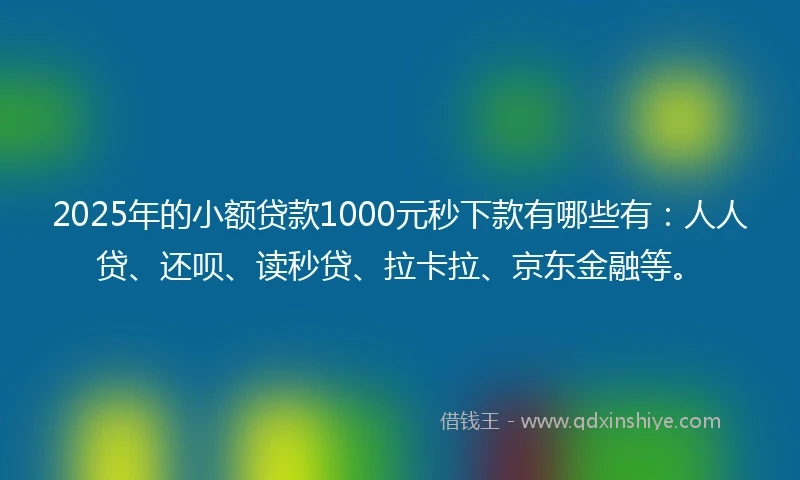 2025年的小额贷款1000元秒下款有哪些有：人人贷、还呗、读秒贷、拉卡拉、京东金融等。