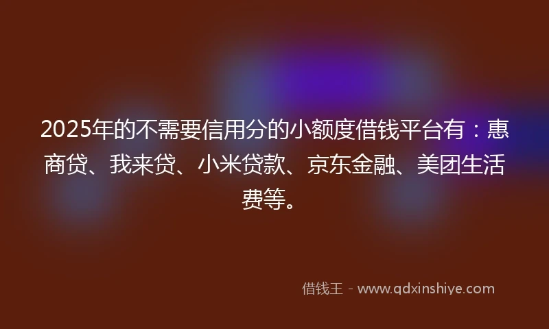 2025年的不需要信用分的小额度借钱平台有：惠商贷、我来贷、小米贷款、京东金融、美团生活费等。