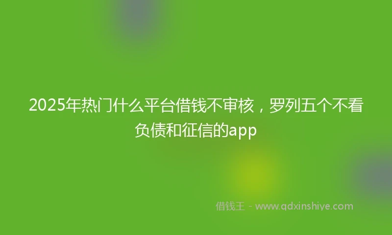 2025年热门什么平台借钱不审核，罗列五个不看负债和征信的app