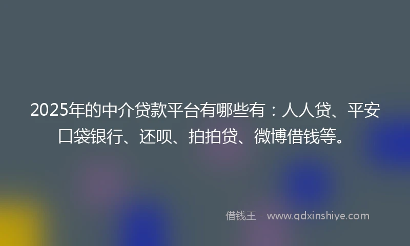 2025年的中介贷款平台有哪些有：人人贷、平安口袋银行、还呗、拍拍贷、微博借钱等。