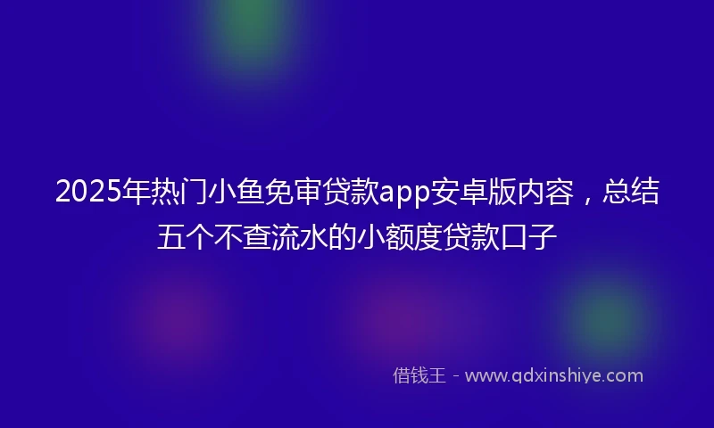 2025年热门小鱼免审贷款app安卓版内容，总结五个不查流水的小额度贷款口子