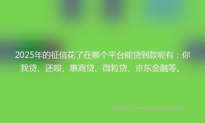 2025年的征信花了在哪个平台能贷到款呢有：你我贷、还呗、惠商贷、微粒贷、京东金融等。