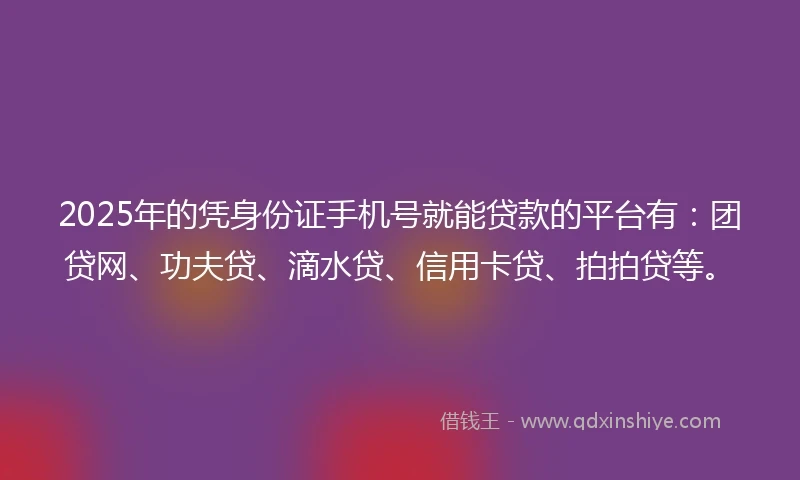 2025年的凭身份证手机号就能贷款的平台有：团贷网、功夫贷、滴水贷、信用卡贷、拍拍贷等。