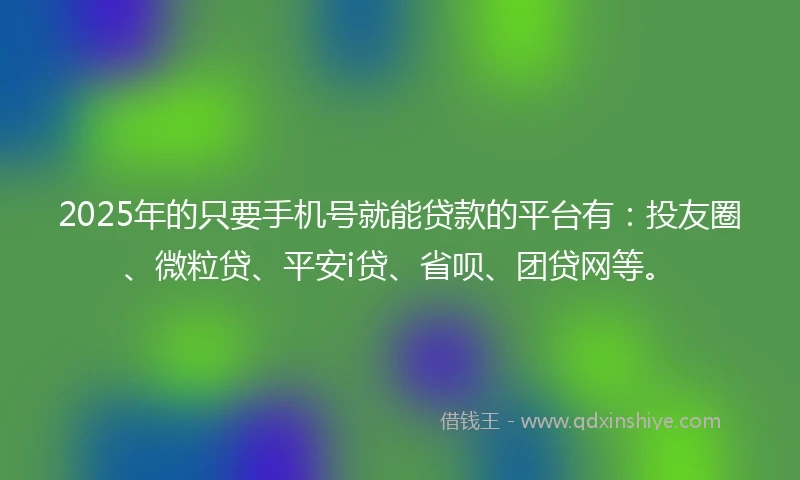 2025年的只要手机号就能贷款的平台有：投友圈、微粒贷、平安i贷、省呗、团贷网等。