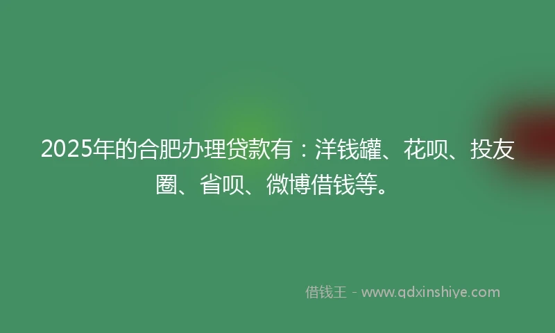 2025年的合肥办理贷款有：洋钱罐、花呗、投友圈、省呗、微博借钱等。