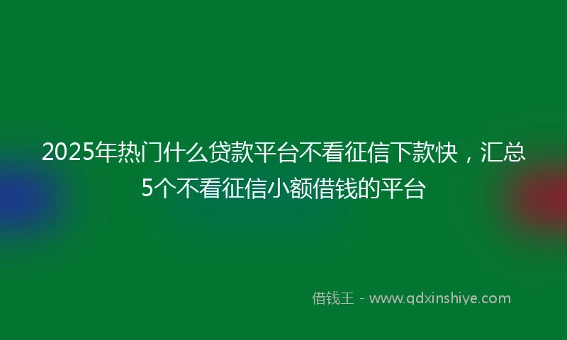 2025年热门什么贷款平台不看征信下款快，汇总5个不看征信小额借钱的平台