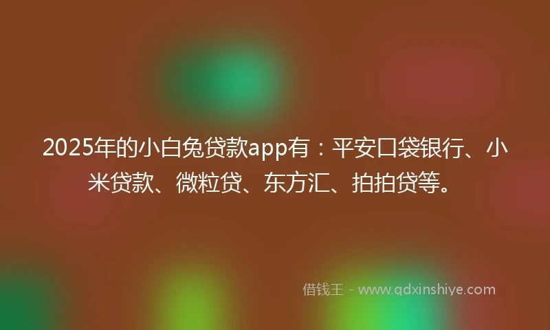 2025年的小白兔贷款app有：平安口袋银行、小米贷款、微粒贷、东方汇、拍拍贷等。