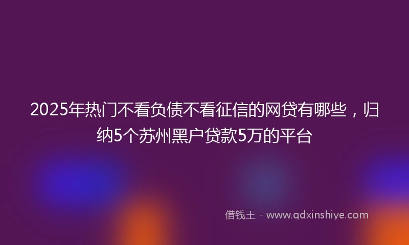 2025年热门不看负债不看征信的网贷有哪些，归纳5个苏州黑户贷款5万的平台