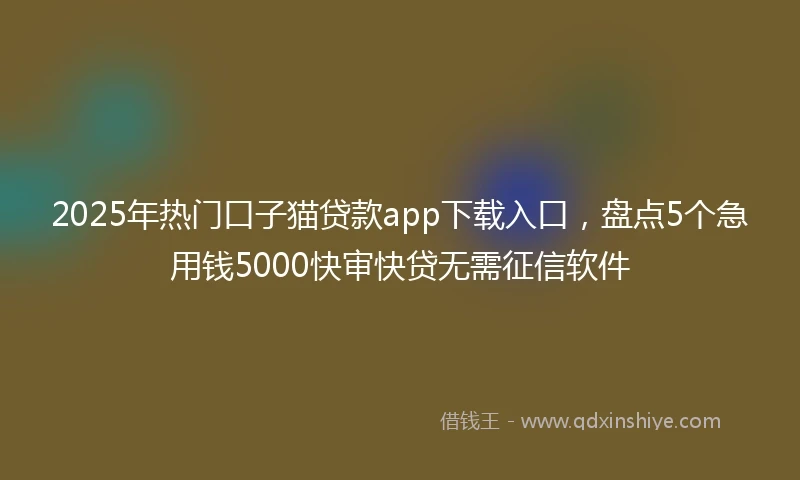 2025年热门口子猫贷款app下载入口，盘点5个急用钱5000快审快贷无需征信软件
