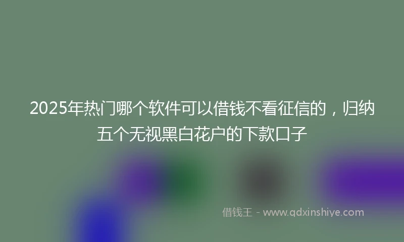 2025年热门哪个软件可以借钱不看征信的，归纳五个无视黑白花户的下款口子