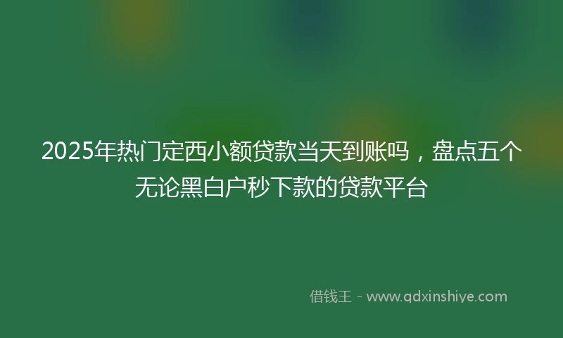 2025年热门定西小额贷款当天到账吗，盘点五个无论黑白户秒下款的贷款平台