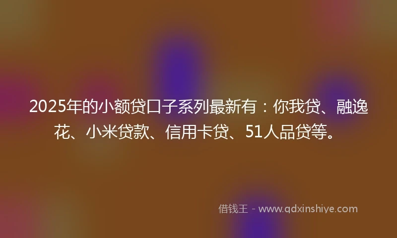 2025年的小额贷口子系列最新有：你我贷、融逸花、小米贷款、信用卡贷、51人品贷等。