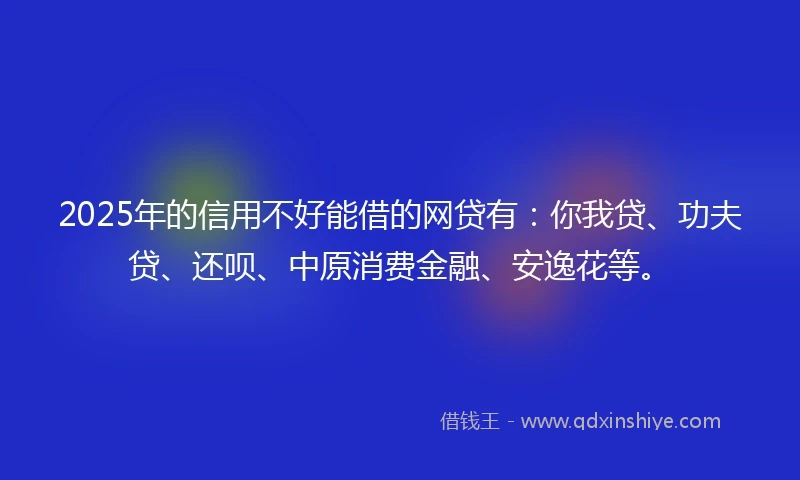 2025年的信用不好能借的网贷有：你我贷、功夫贷、还呗、中原消费金融、安逸花等。
