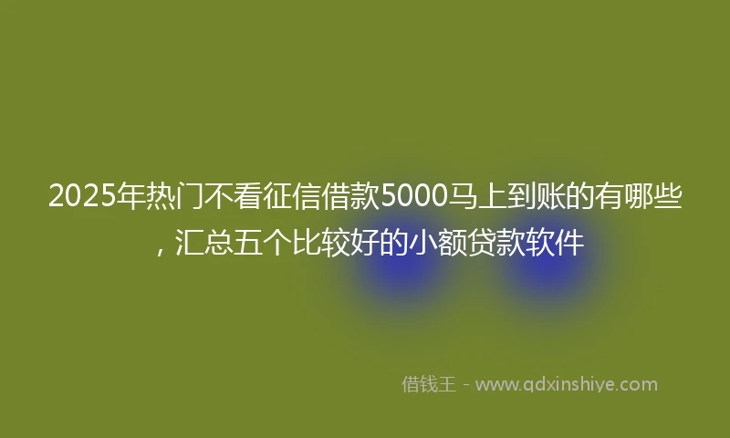 2025年热门不看征信借款5000马上到账的有哪些，汇总五个比较好的小额贷款软件