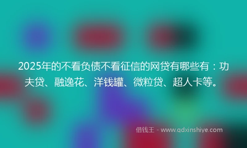 2025年的不看负债不看征信的网贷有哪些有：功夫贷、融逸花、洋钱罐、微粒贷、超人卡等。