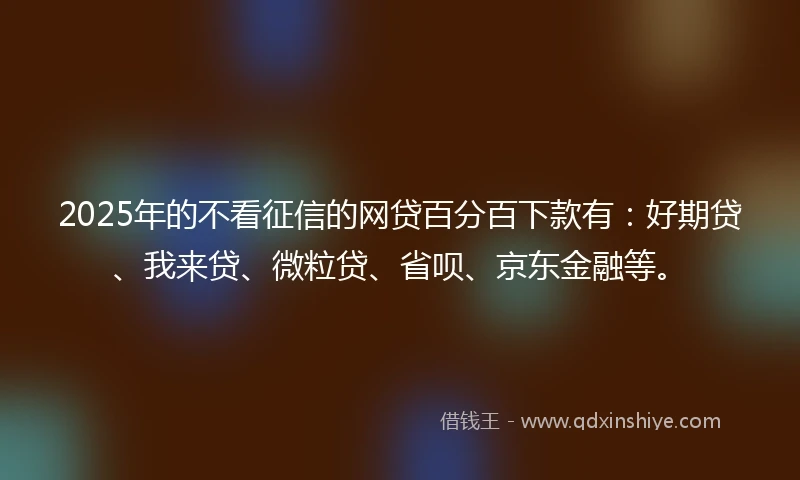 2025年的不看征信的网贷百分百下款有：好期贷、我来贷、微粒贷、省呗、京东金融等。